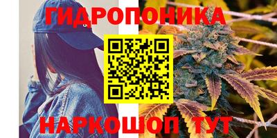 прущие крисы Рязань